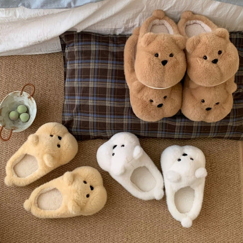 Plumpy Bear Slippers