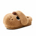 Barky Slippers