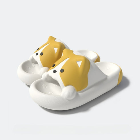 Corgi Slides