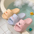 Squishy Bear Ear Cloud Slides