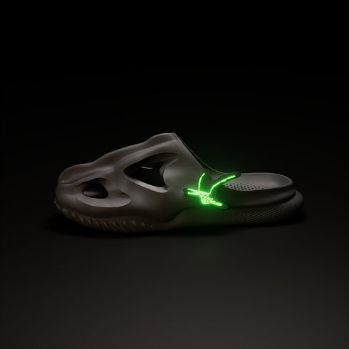 อุปกรณ์เสริมเทอโรซอร์สำหรับT-Rex Fossil Slide