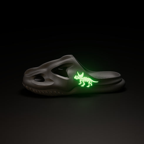 อุปกรณ์เสริมไทรเซราทอปส์สำหรับT-Rex Fossil Slide