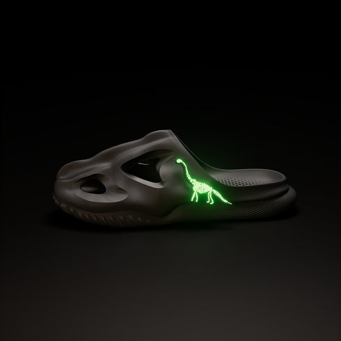 อุปกรณ์เสริมดิพลอโดคัสสำหรับT-Rex Fossil Slide