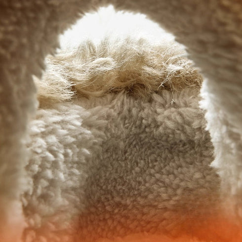 Fuzzy Westie Dog Winter Slippers