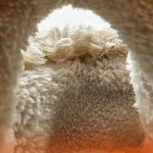 Cozy Sherpa Bear Face Slippers