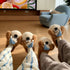 Sleepy Puppy Nightcap Plush Slippers