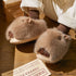 Sleepy Capybara Slippers