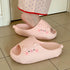 Quirky Cat Face Chunky Slides