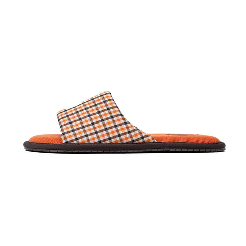 Easy Breezy Indoor Lounge Slides