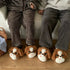 Grumpy Puppy Plush House Slippers