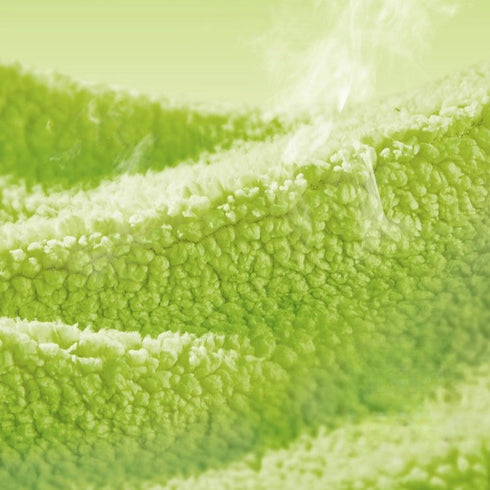 Dino Buddy Fuzzy Lined Clogs