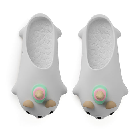 Animore - Scoops l'Ours