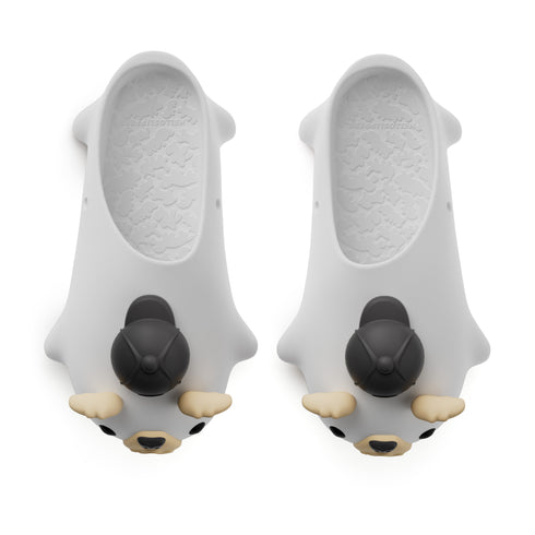 Animore - 베니 더 불도그