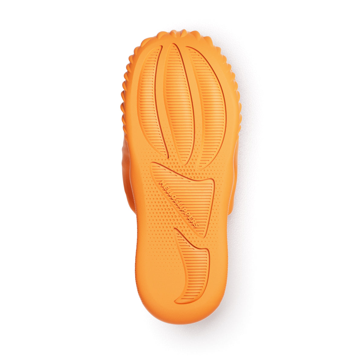 Classic T Rex Fossil Slide HelloSlippers Hello Slippers classic-t-rex-fossil-slide-helloslippers-hello-slippers